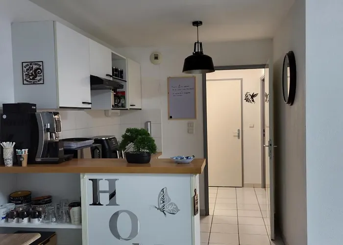 Le Colibri Fenouillet (Haute-Garonne)