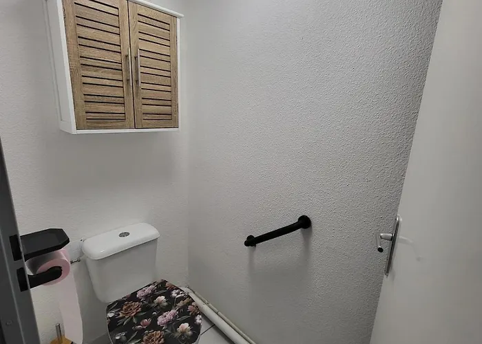 Le Colibri * Fenouillet (Haute-Garonne)