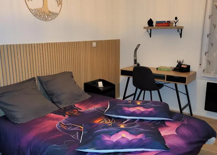 Le Colibri Appartement Fenouillet (Haute-Garonne)